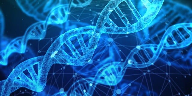 L'importance de la programmation dans le développement des intelligences artificielles