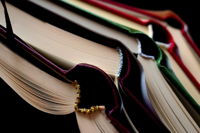 Un guide pour débutants : comment apprendre la programmation en autodidacte